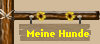 Meine Hunde