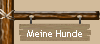 Meine Hunde